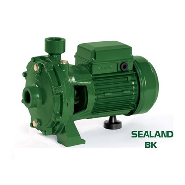 Máy bơm ly tâm 2CX Sealand BK 550T (4KW)